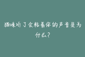 猫咪听了会粘着你的声音是为什么?-动物百科