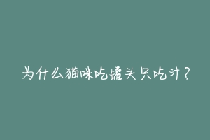 为什么猫咪吃罐头只吃汁?-动物百科