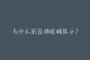 为什么田园猫眼睛很小?-动物百科