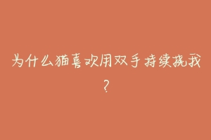 为什么猫喜欢用双手持续挠我?-动物百科