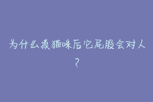 为什么摸猫咪后它屁股会对人?-动物百科