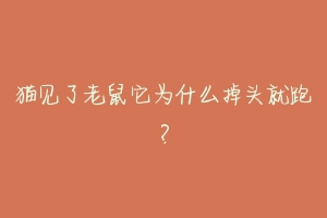 猫见了老鼠它为什么掉头就跑？-动物百科