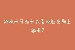 猫咪怀孕为什么喜欢肚皮朝上躺着？-动物百科