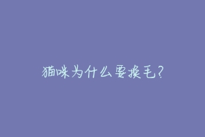猫咪为什么要换毛？-动物百科