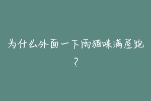 为什么外面一下雨猫咪满屋跑?-动物百科