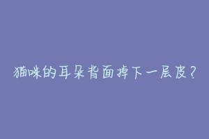 猫咪的耳朵背面掉下一层皮?-动物百科