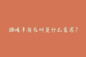 猫咪半夜在叫是什么意思?-动物百科