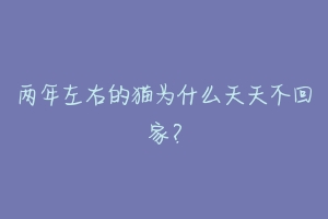 两年左右的猫为什么天天不回家?-动物百科