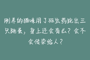 刚养的猫咪用了驱虫药跑出三只跳蚤,身上还会有么?会不会传染给人?-动物百科