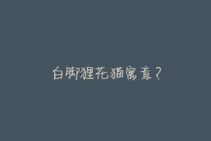 白脚狸花猫寓意?-动物百科