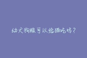 幼犬狗粮可以给猫吃吗?-动物百科