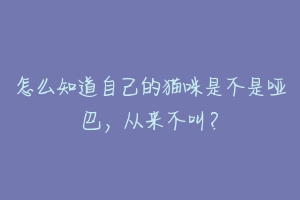 怎么知道自己的猫咪是不是哑巴,从来不叫?-动物百科