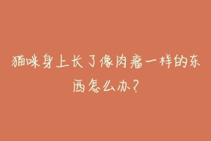 猫咪身上长了像肉瘤一样的东西怎么办?-动物百科