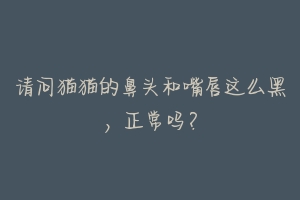 请问猫猫的鼻头和嘴唇这么黑,正常吗?-动物百科