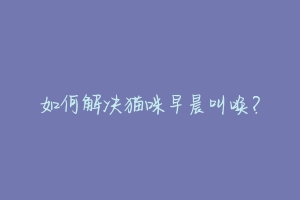 如何解决猫咪早晨叫唤?-动物百科
