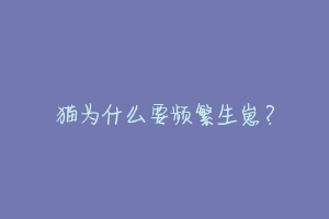 猫为什么要频繁生崽?-动物百科