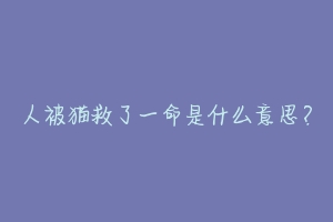 人被猫救了一命是什么意思?-动物百科