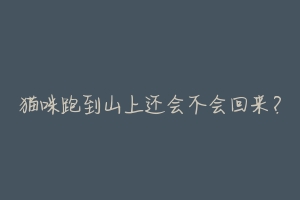 猫咪跑到山上还会不会回来?-动物百科