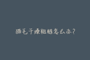猫毛干燥粗糙怎么办?-动物百科