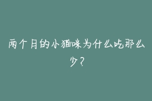 两个月的小猫咪为什么吃那么少?-动物百科
