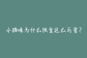 小猫咪为什么独食这么厉害?-动物百科