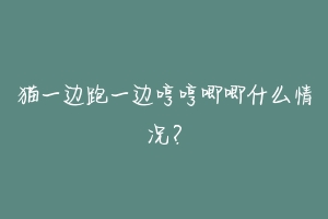 猫一边跑一边哼哼唧唧什么情况?-动物百科