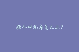 猫不叫洗澡怎么办?-动物百科