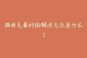 猫掉毛最好的解决方法是什么?-动物百科