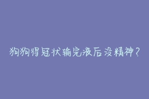 狗狗得冠状输完液后没精神?-动物百科