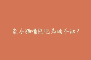 亲小猫嘴巴它为啥不动?-动物百科
