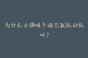 为什么小猫咪不碰它就乱动乱叫?-动物百科