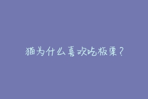 猫为什么喜欢吃板栗?-动物百科