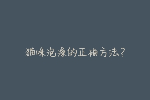猫咪泡澡的正确方法?-动物百科