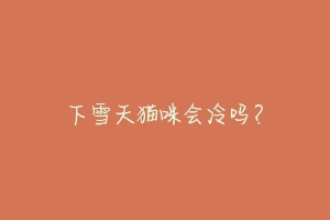 下雪天猫咪会冷吗?-动物百科