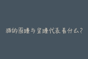 猫的圆瞳与竖瞳代表着什么?-动物百科