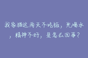 我家猫这两天不吃饭,光喝水,精神不好,是怎么回事?-动物百科