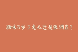 猫咪3岁了怎么还是很调皮?-动物百科