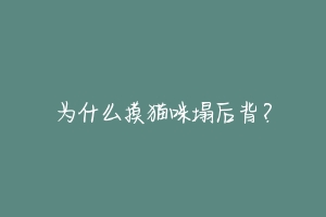 为什么摸猫咪塌后背?-动物百科