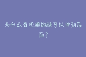 为什么有些猫的腿可以伸到后面?-动物百科