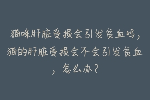 猫咪肝脏受损会引发贫血吗,猫的肝脏受损会不会引发贫血,怎么办?-动物百科