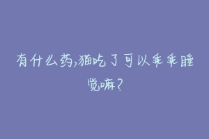 有什么药,猫吃了可以乖乖睡觉嘛?-动物百科