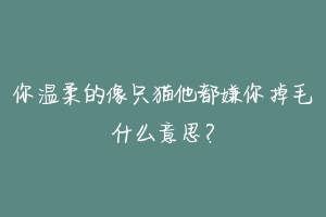 你温柔的像只猫他都嫌你掉毛什么意思?-动物百科
