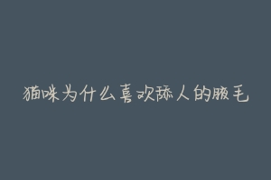 猫咪为什么喜欢舔人的腋毛-动物百科