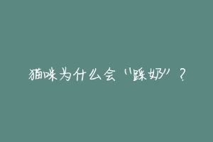 猫咪为什么会“踩奶”?-动物百科