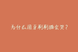 为什么用牙刷刷猫会哭?-动物百科