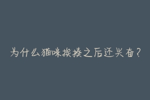 为什么猫咪挨揍之后还兴奋?-动物百科