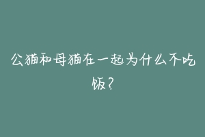 公猫和母猫在一起为什么不吃饭?-动物百科