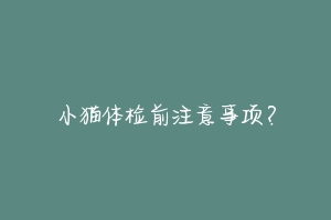 小猫体检前注意事项?-动物百科