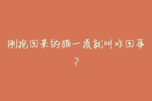 刚抱回来的猫一摸就叫咋回事?-动物百科