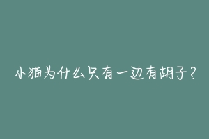 小猫为什么只有一边有胡子?-动物百科
